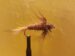 Long Dragon Fly Nymph Size 6, 8, and 10