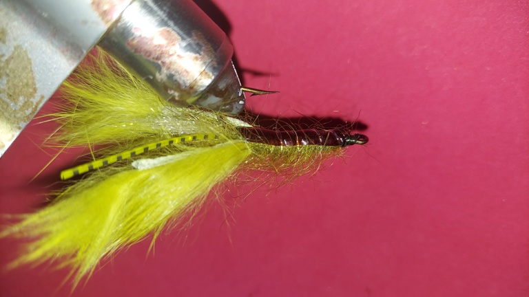 Lt Olive Crayfish Size 2