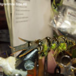 CT Short Hellgrammite Size 6