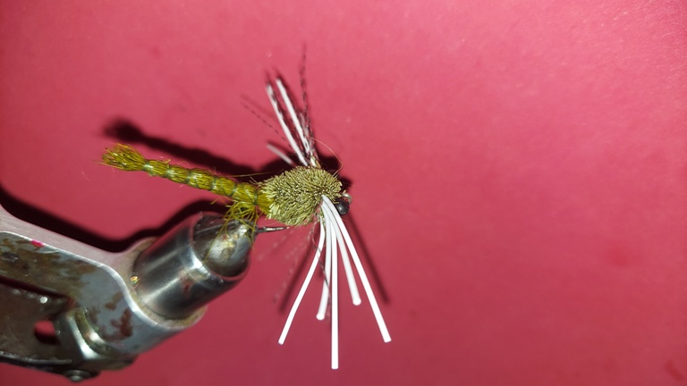 Olive Deer Hair Dragon Size 4