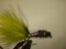 Olive Ice Jig