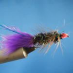 Purple Salmon Egg Sucking Leech Size 6-12