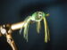 Rubber Legged Frog Size 2/0