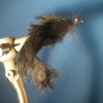 Small Black Bunny Leech Size 4