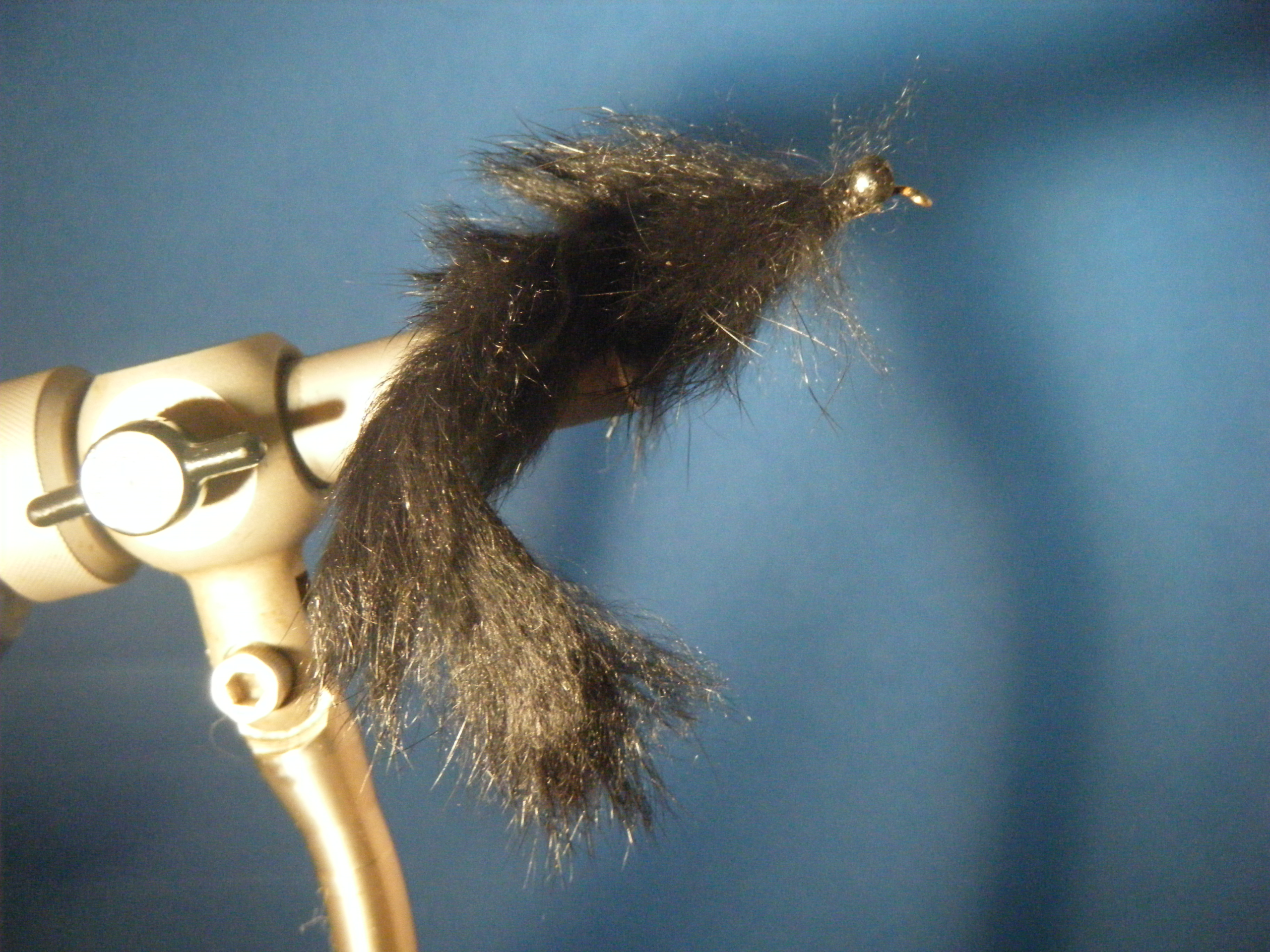 Small Black Bunny Leech Size 4
