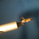 Water Boatman Size 10