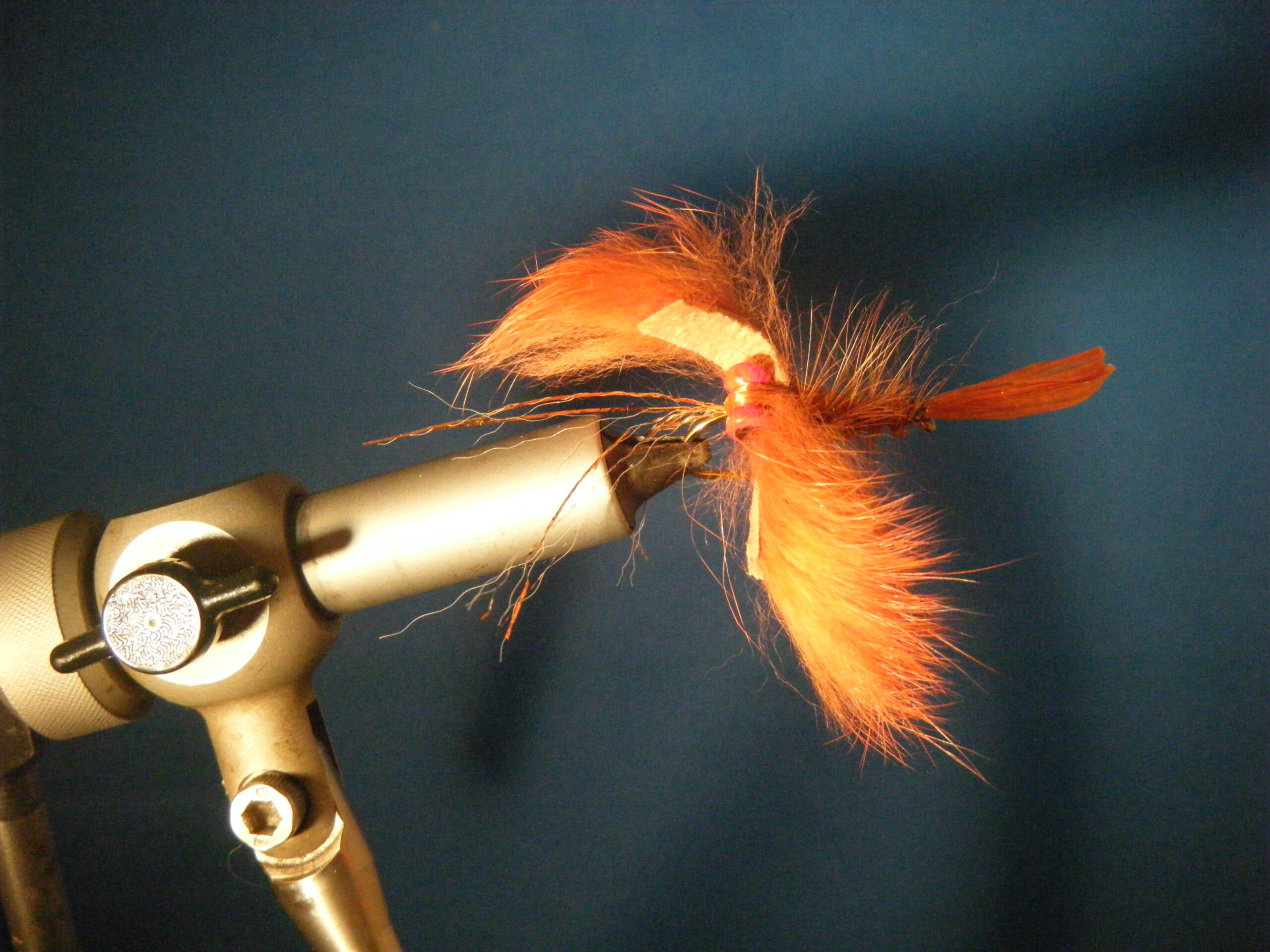 Zonker Crayfish Size 4